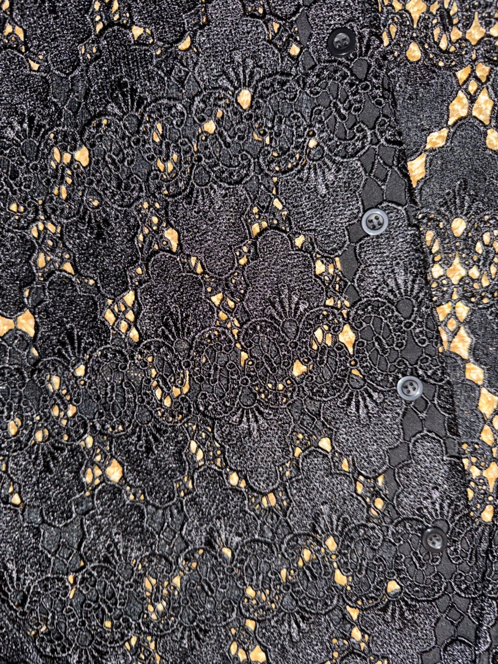 Frame Lace Button-Up Shirt NWT - Picture 9 of 12